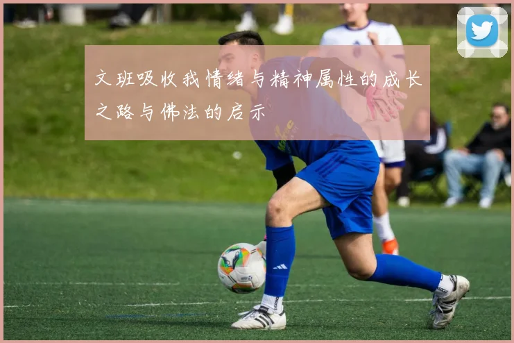 文班吸收我情绪与精神属性的成长之路与佛法的启示